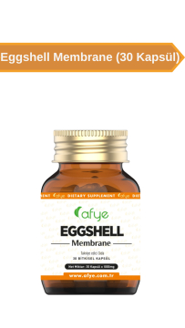 Afye EggShell